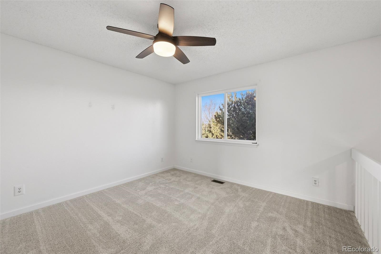 MLS Image #20 for 3607  summer breeze drive,colorado springs, Colorado