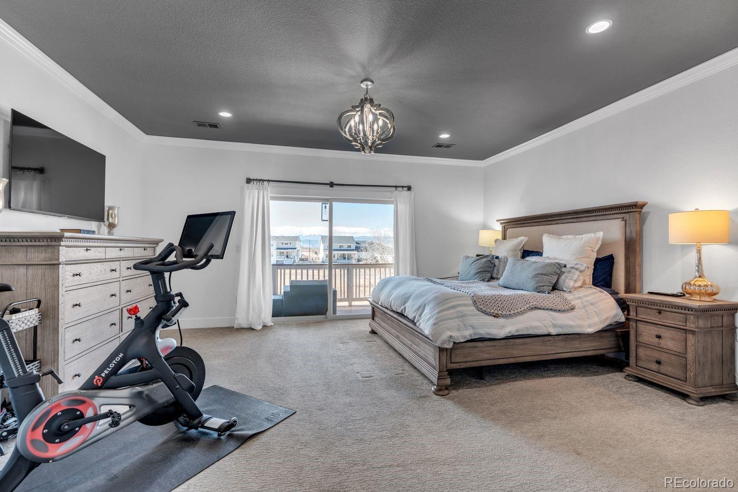 MLS Image #23 for 1054  carbonate court,erie, Colorado