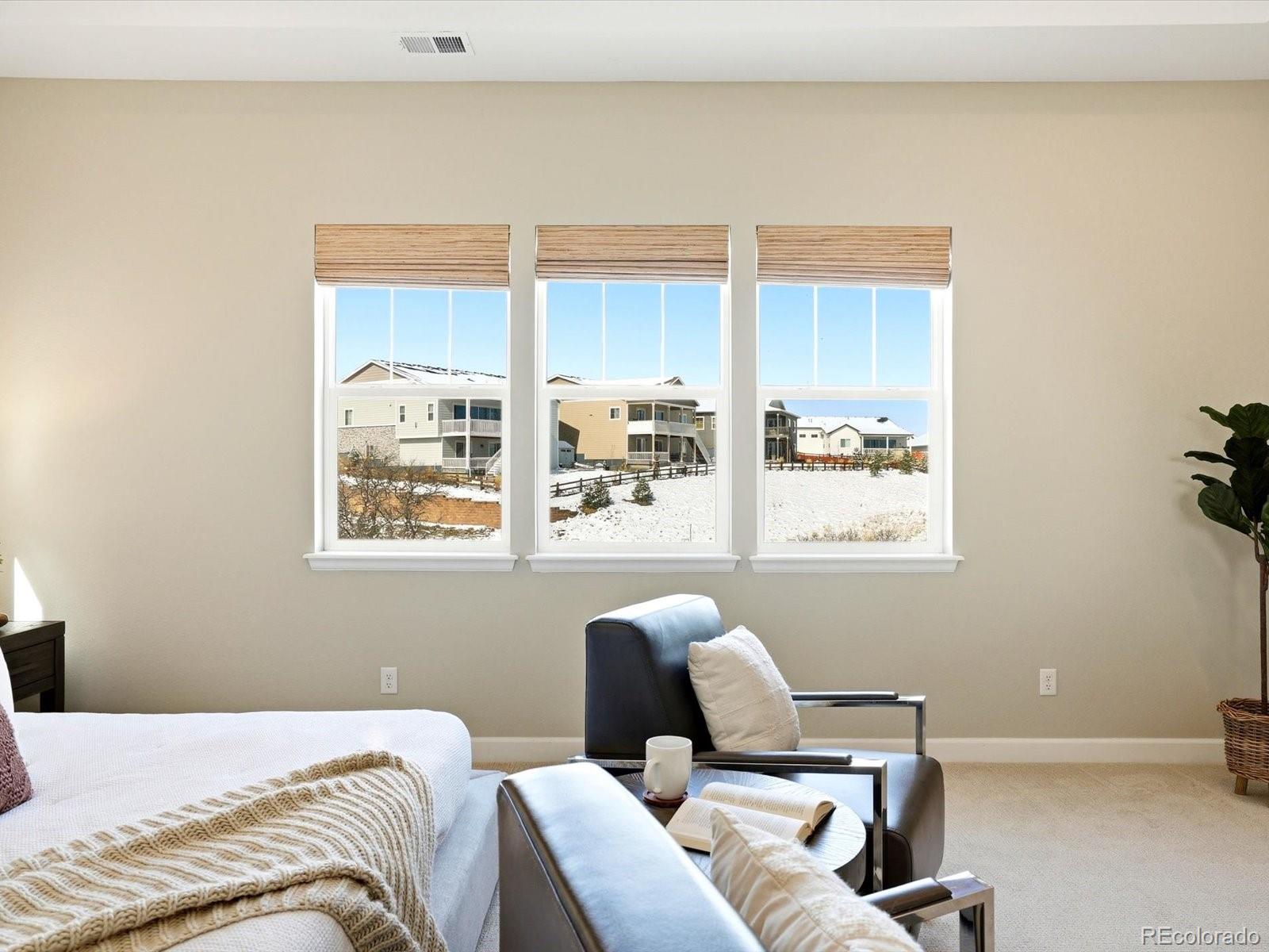 MLS Image #28 for 1015  melting snow way,castle rock, Colorado