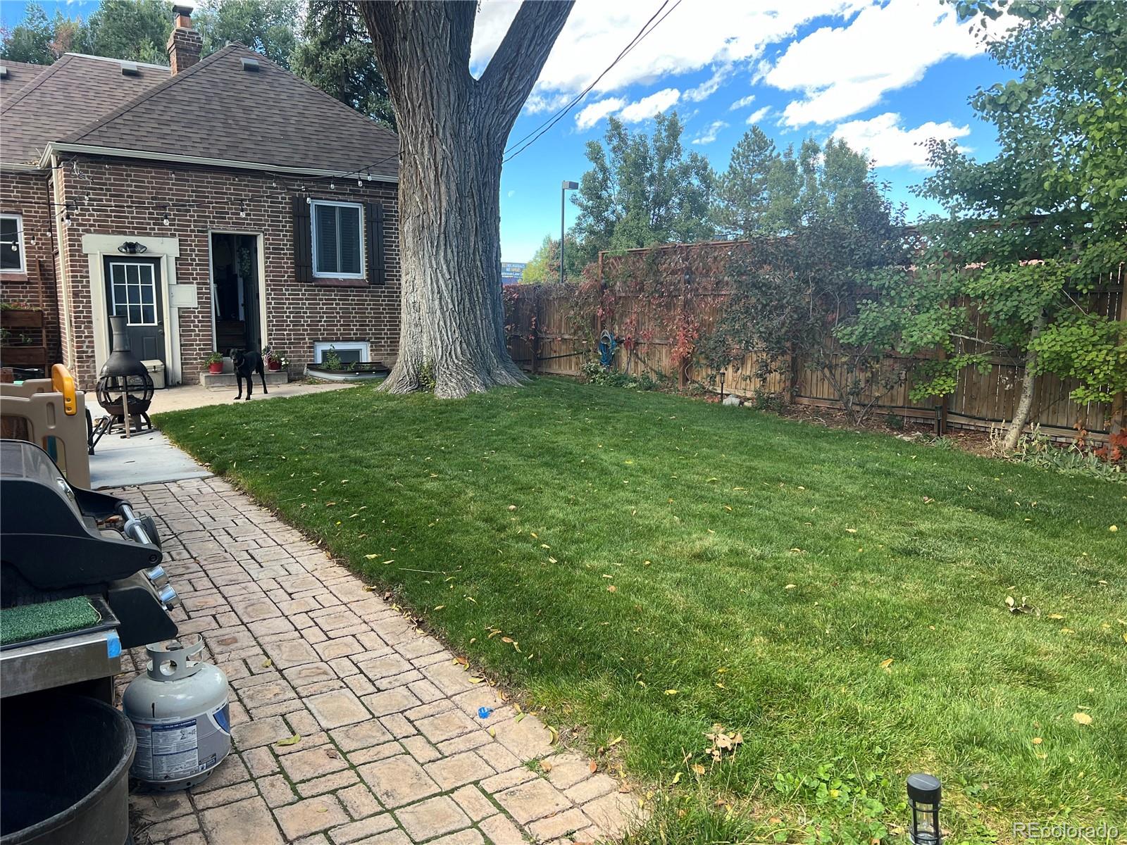 MLS Image #31 for 1462  glencoe street,denver, Colorado