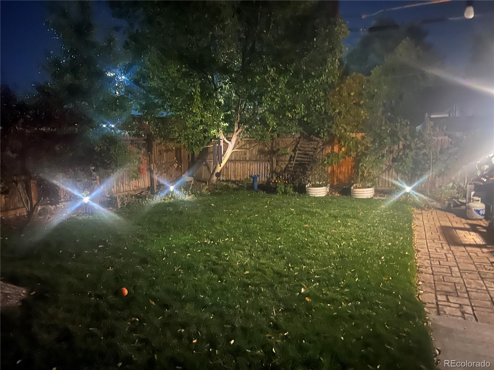 MLS Image #32 for 1462  glencoe street,denver, Colorado