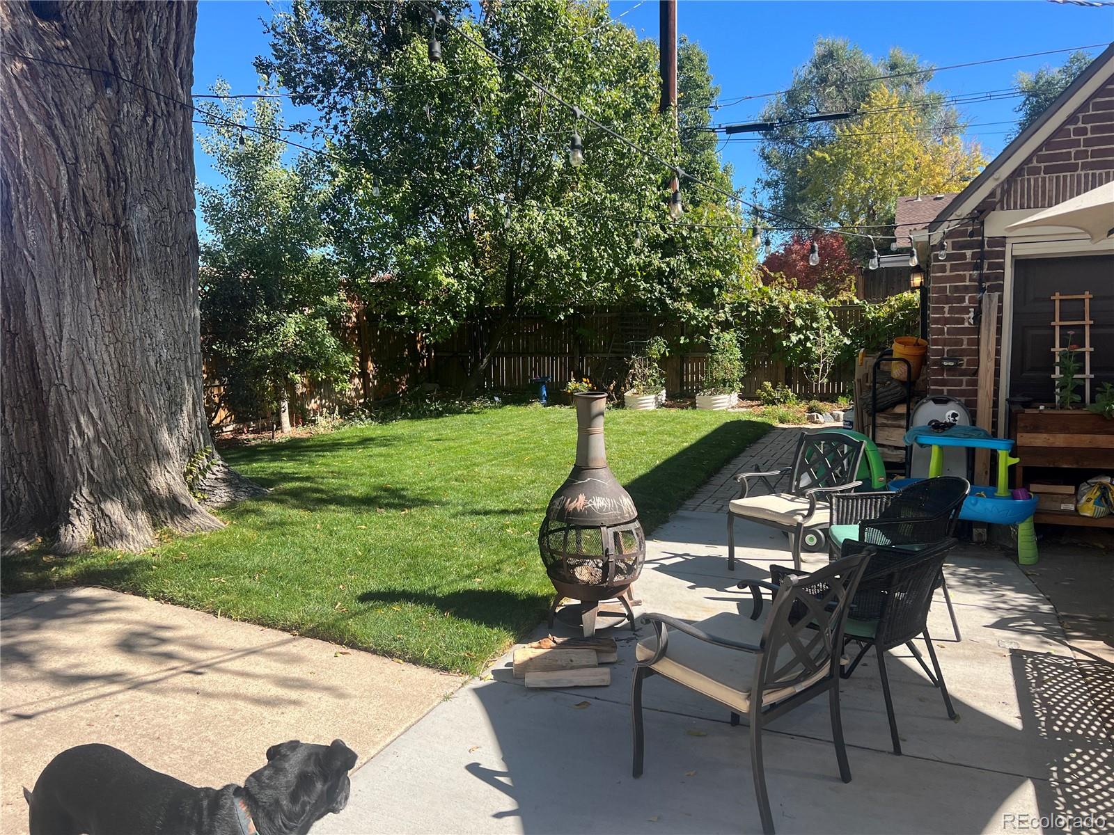 MLS Image #33 for 1462  glencoe street,denver, Colorado