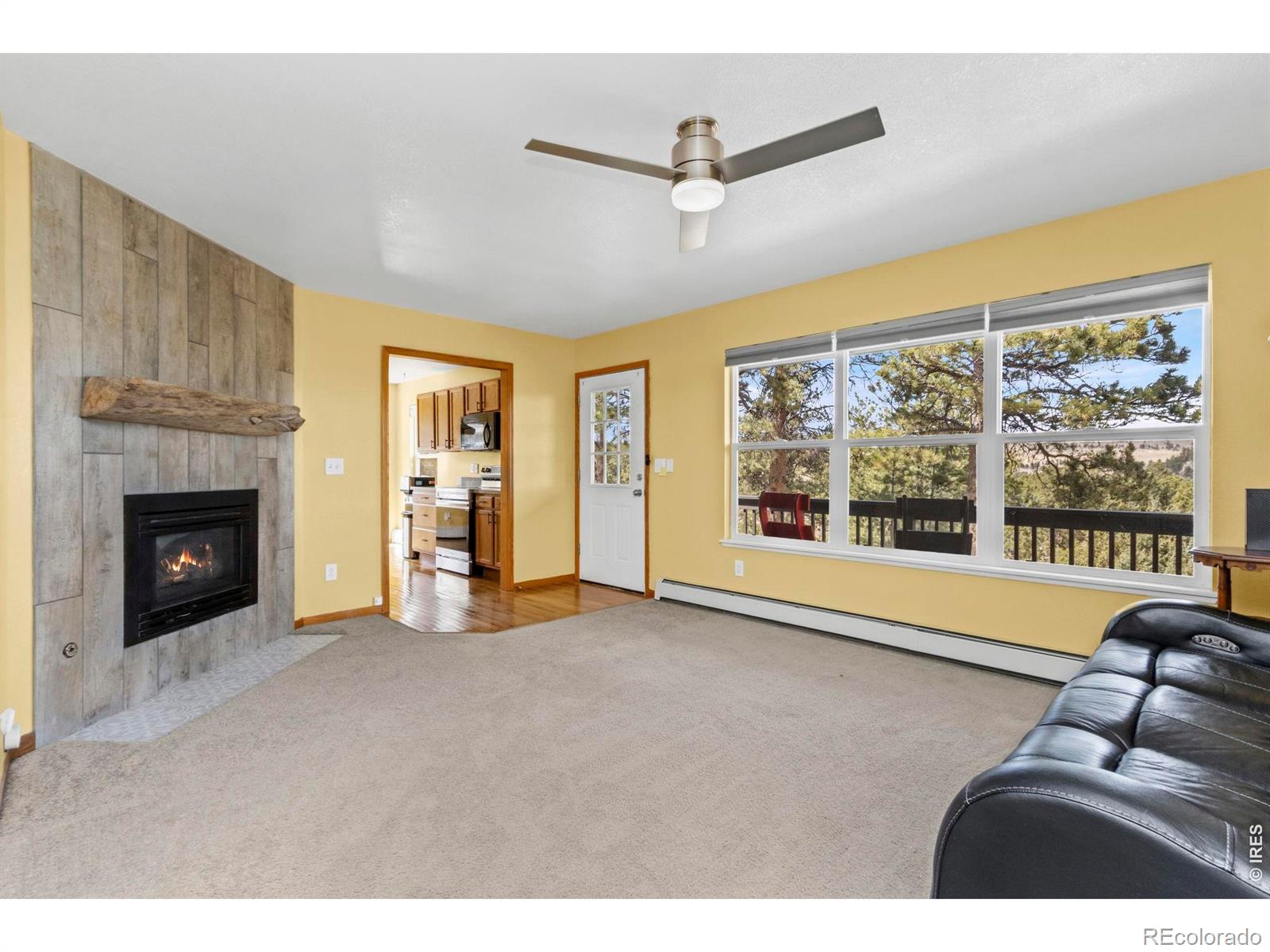 MLS Image #10 for 419  ute peak drive,livermore, Colorado