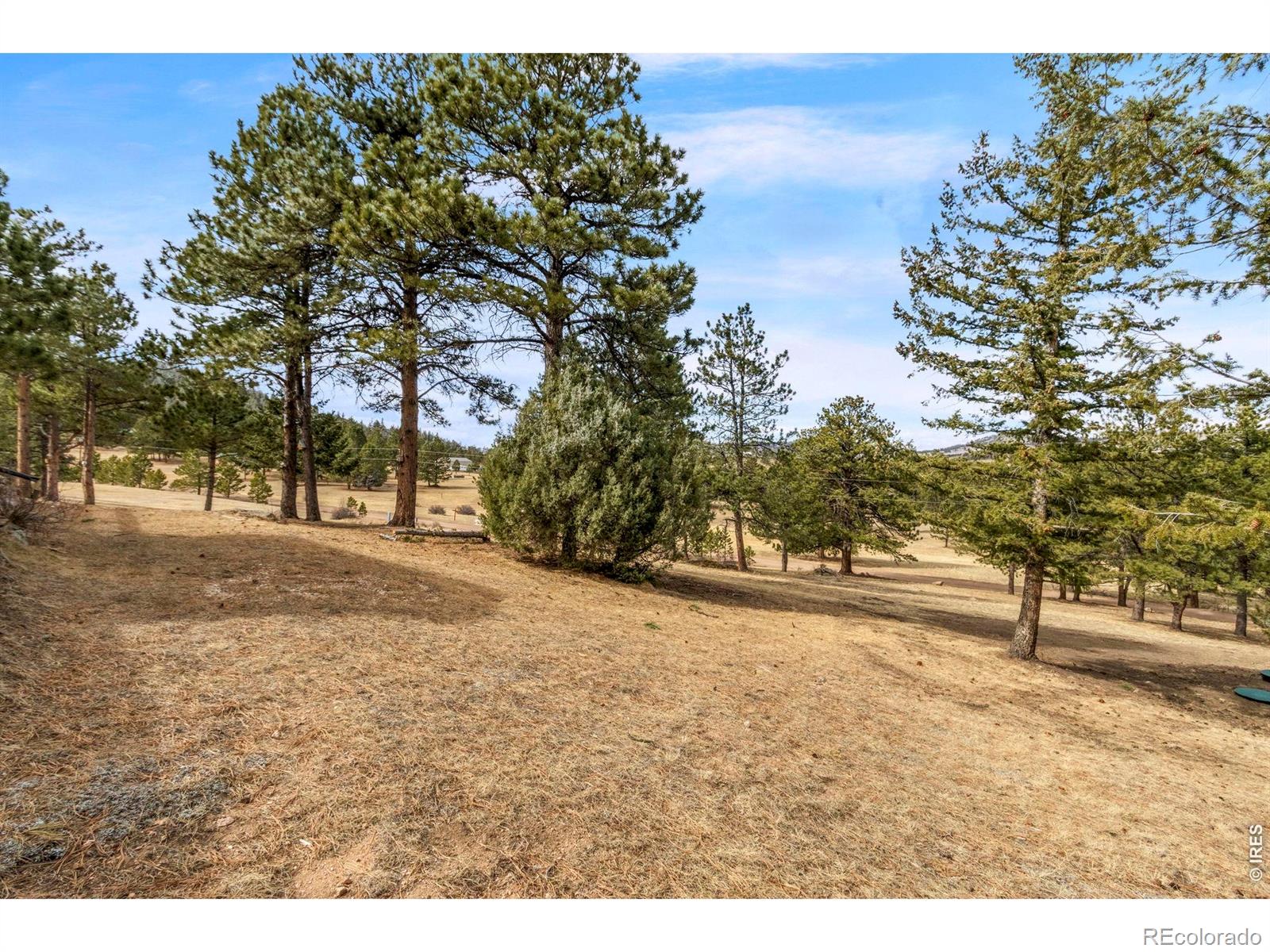 MLS Image #35 for 419  ute peak drive,livermore, Colorado