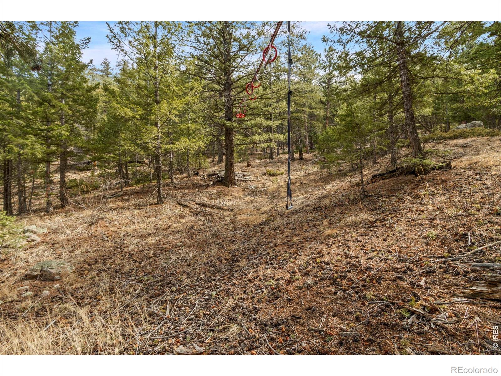 MLS Image #37 for 419  ute peak drive,livermore, Colorado