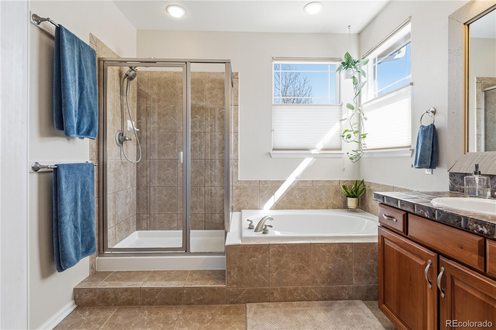 MLS Image #27 for 3200  springbriar drive,castle rock, Colorado