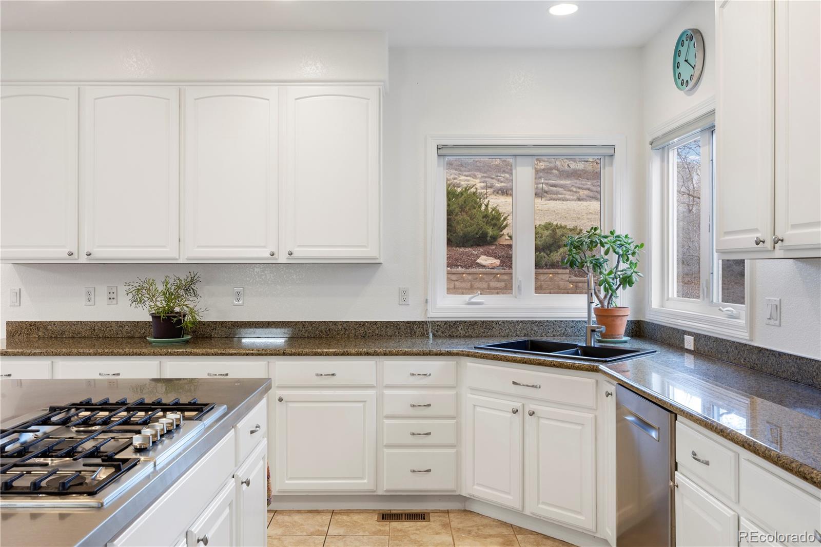 MLS Image #14 for 6098  puma ridge,lone tree, Colorado