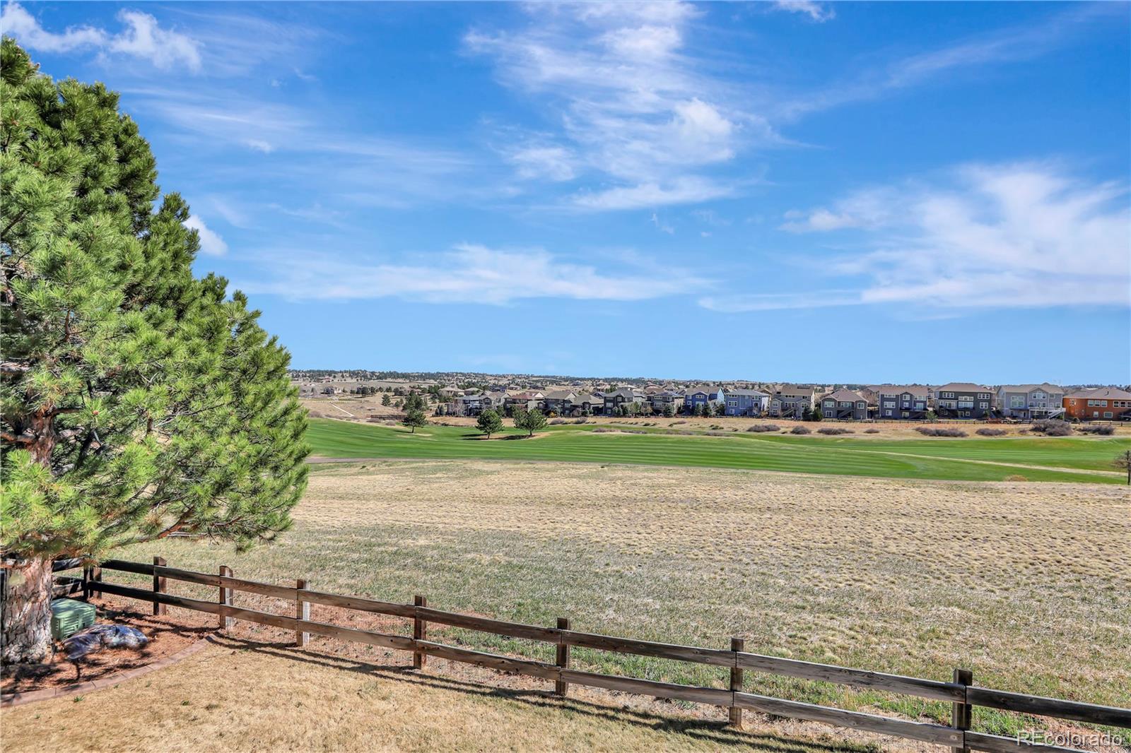 MLS Image #10 for 12038  pine top street,parker, Colorado