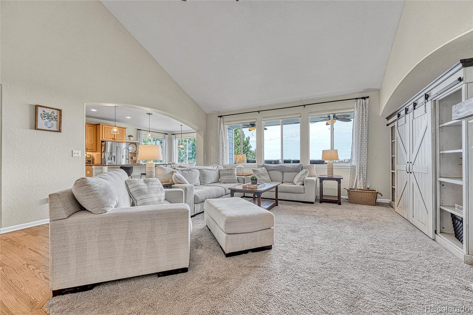 MLS Image #18 for 12038  pine top street,parker, Colorado
