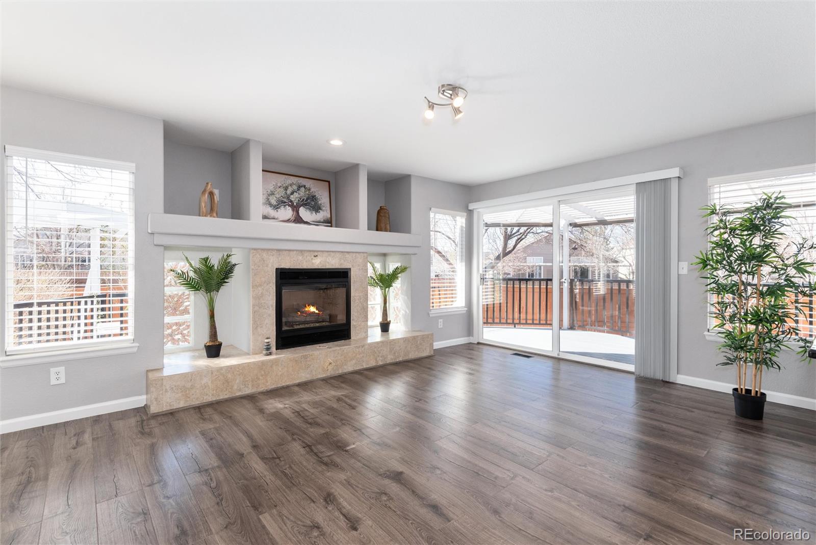 MLS Image #16 for 1494  braewood avenue,highlands ranch, Colorado