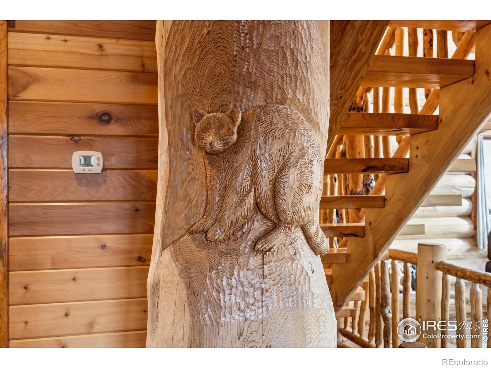 MLS Image #18 for 2441  star view drive,livermore, Colorado