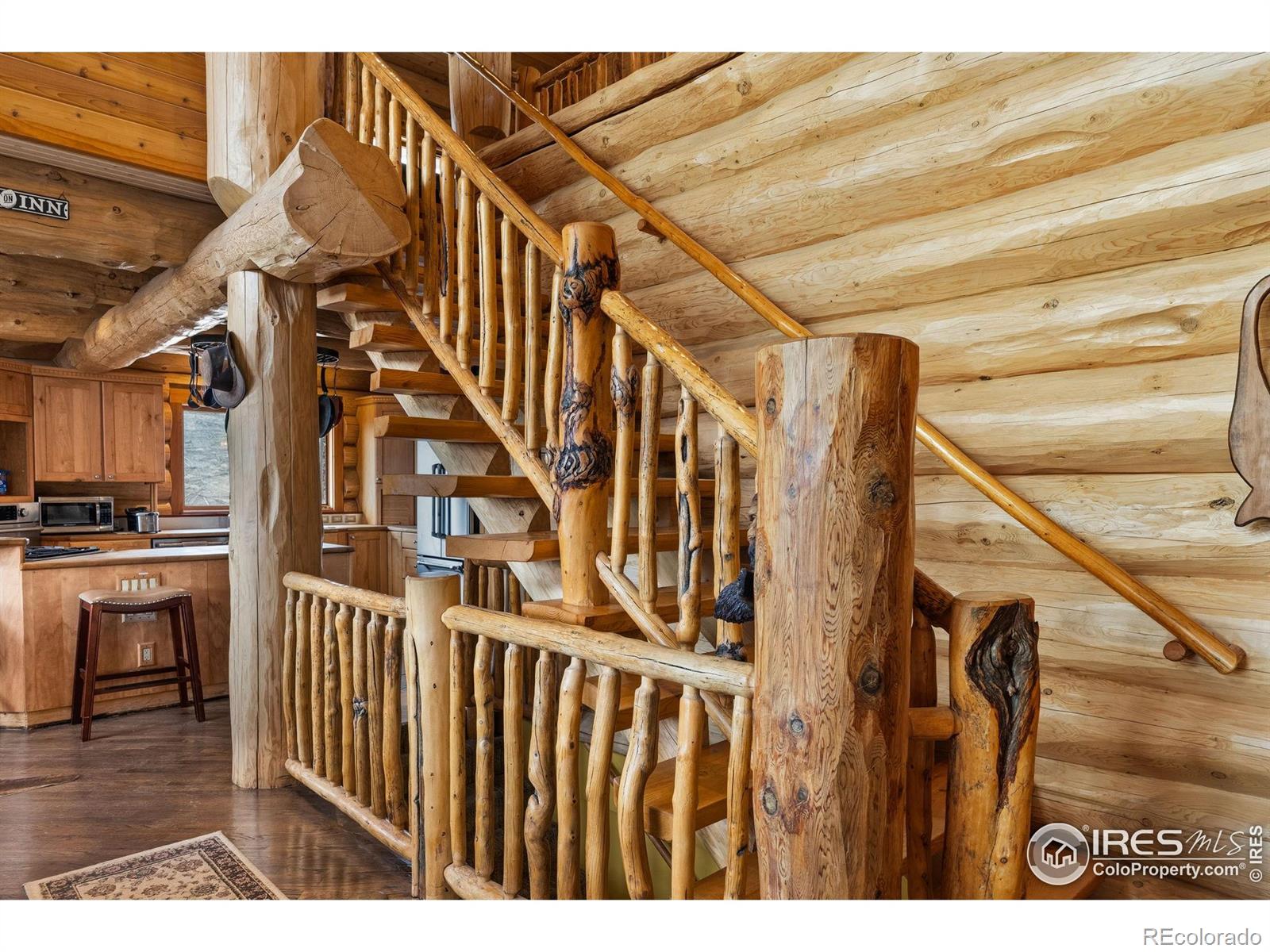 MLS Image #23 for 2441  star view drive,livermore, Colorado