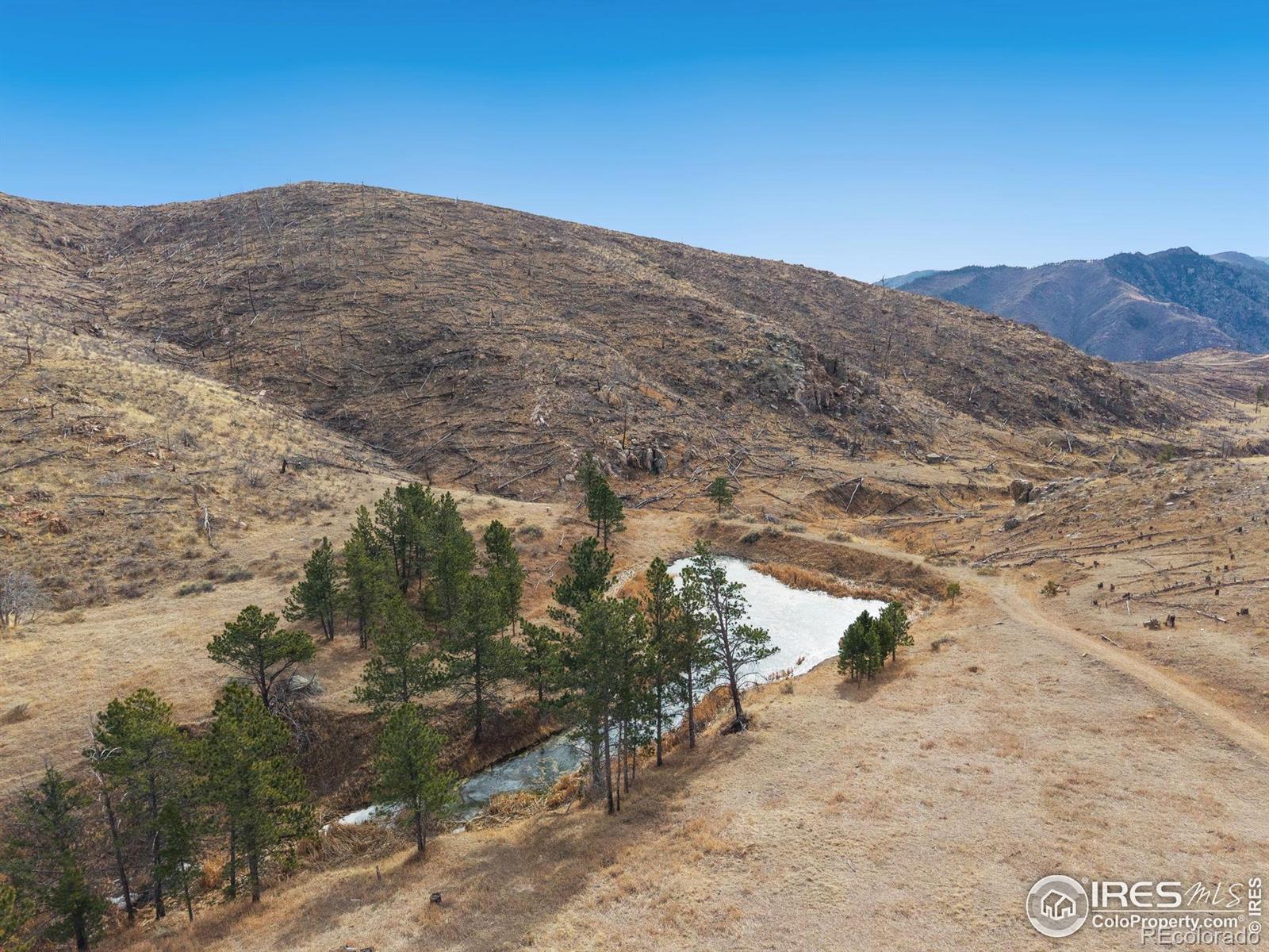 MLS Image #4 for 2441  star view drive,livermore, Colorado