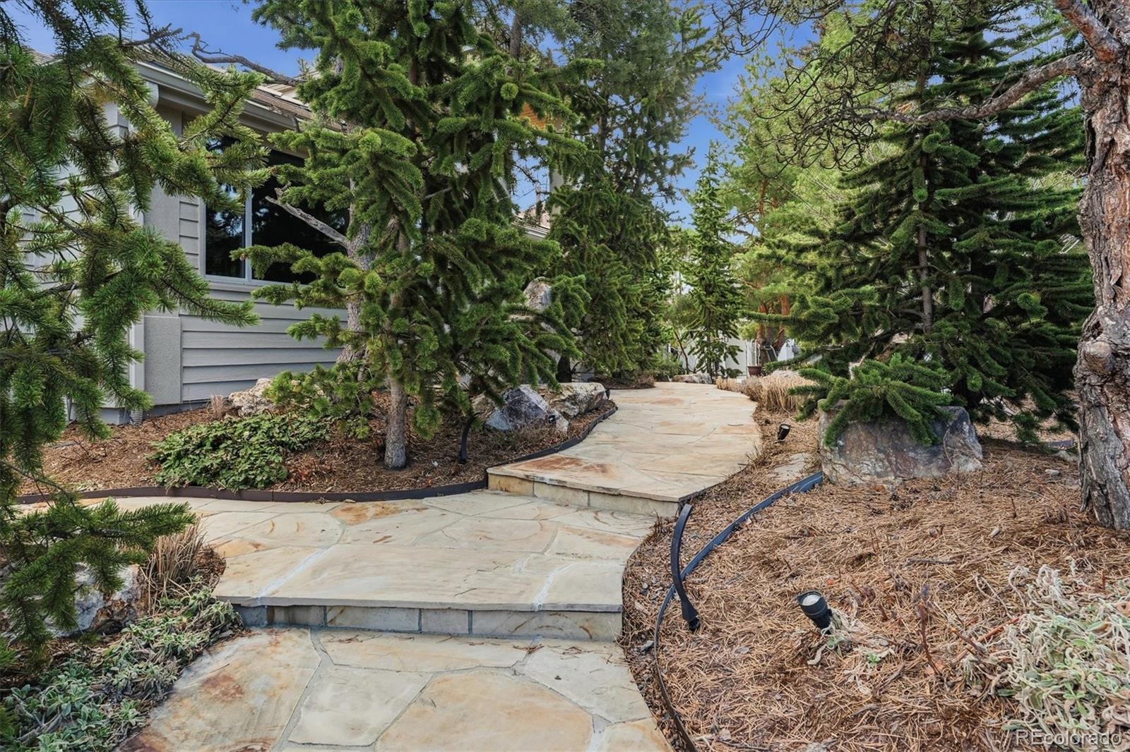 MLS Image #1 for 38  lark bunting lane,littleton, Colorado