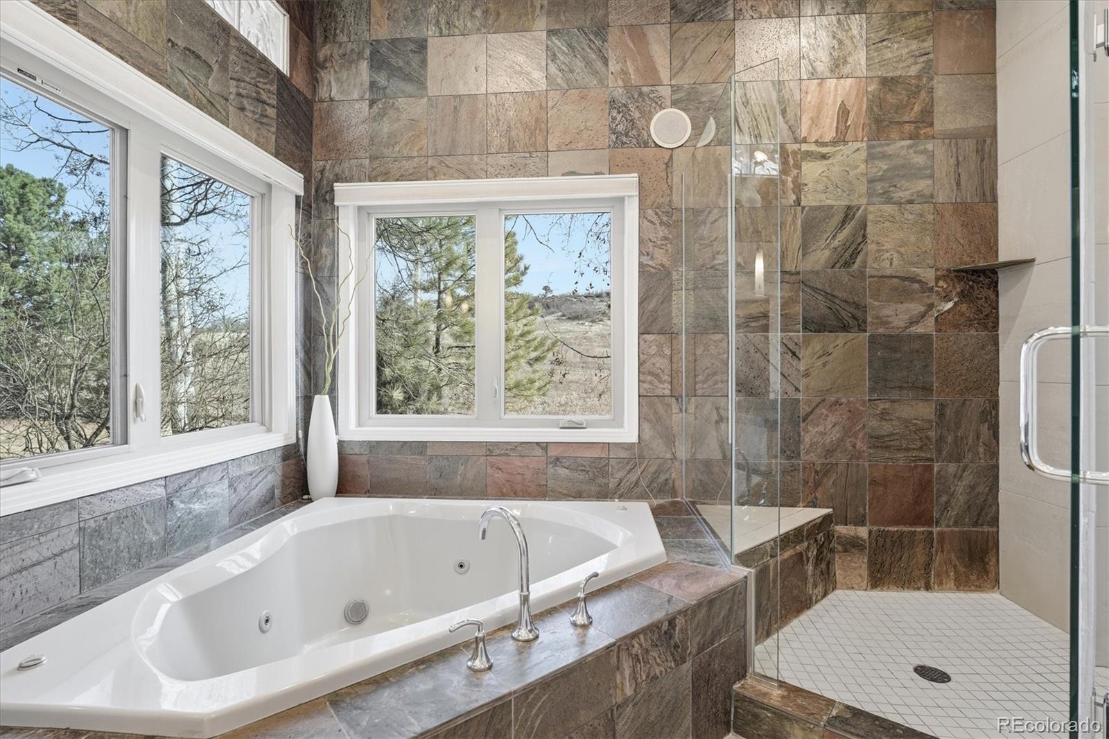 MLS Image #23 for 38  lark bunting lane,littleton, Colorado