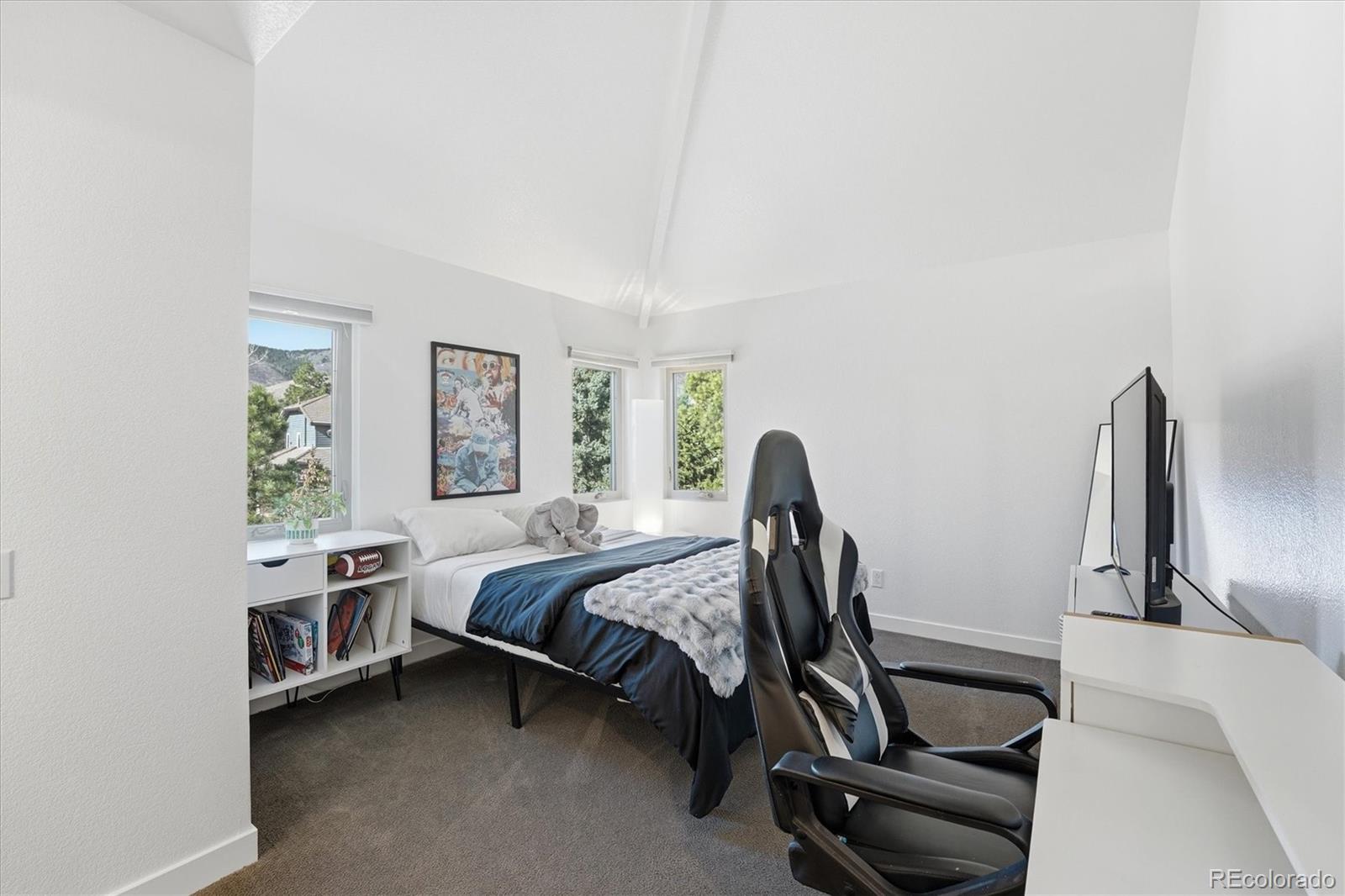 MLS Image #29 for 38  lark bunting lane,littleton, Colorado