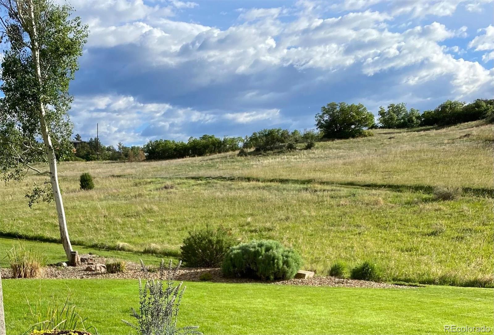 MLS Image #46 for 38  lark bunting lane,littleton, Colorado