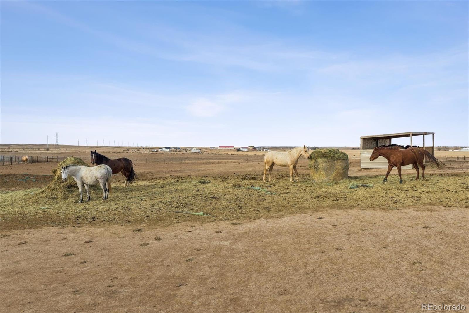 MLS Image #30 for 13013  county road 86 ,pierce, Colorado