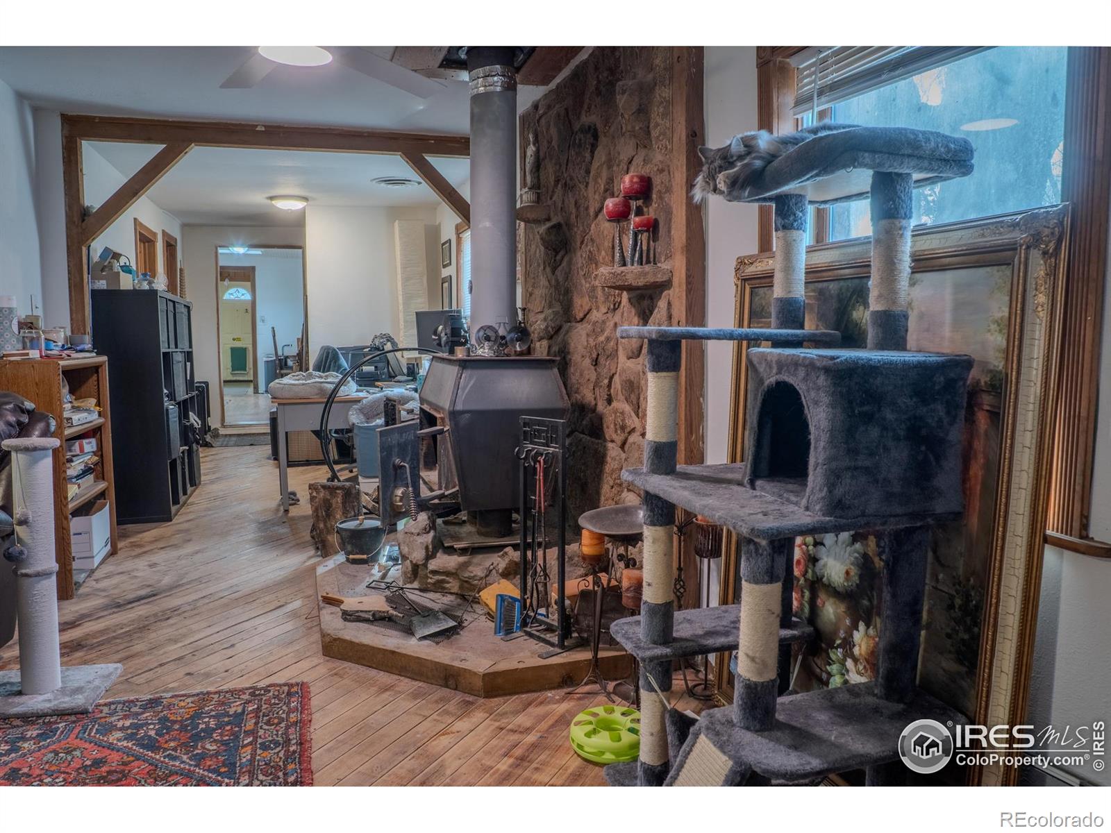 MLS Image #19 for 11900  jasper road,erie, Colorado
