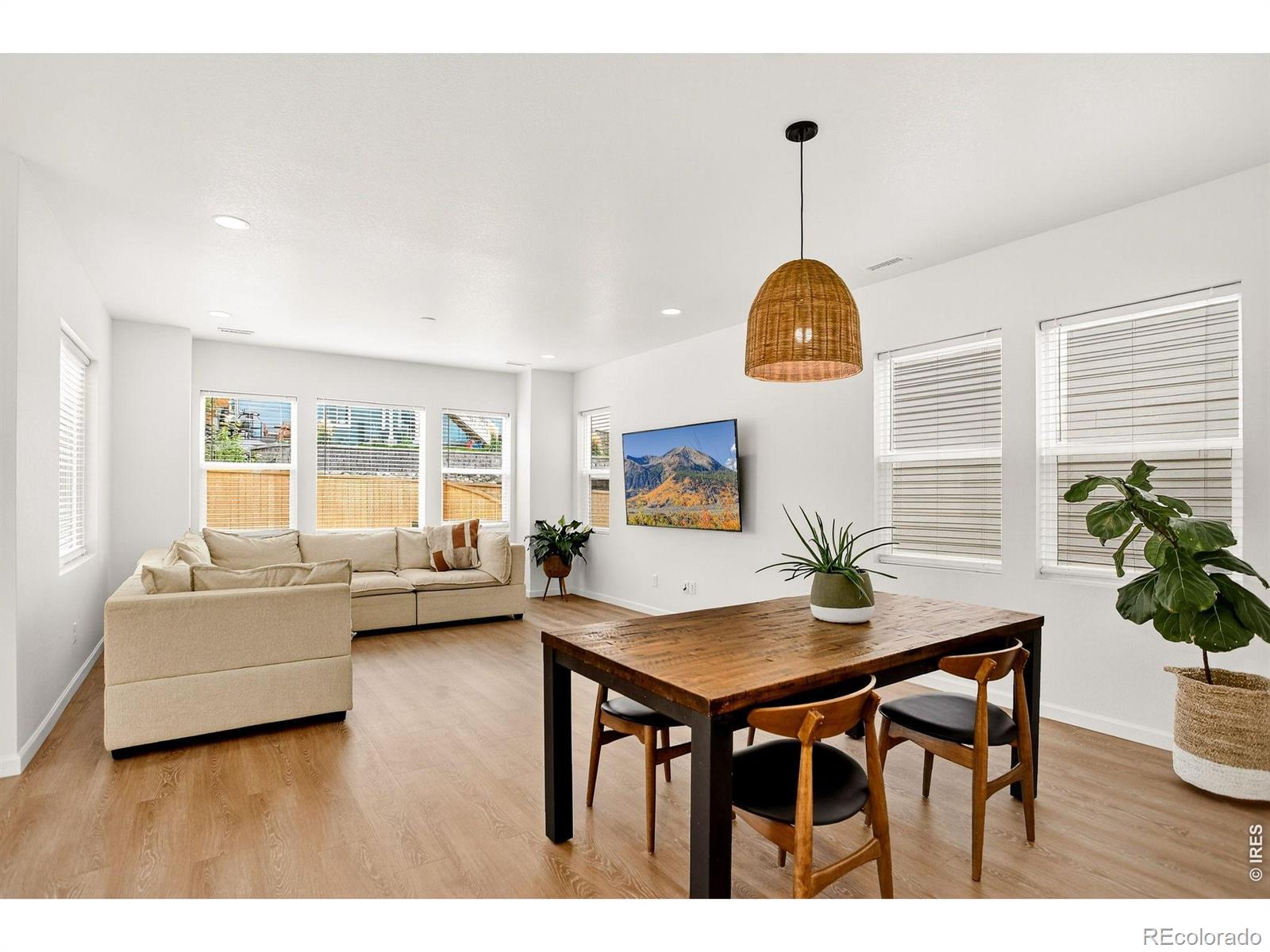 MLS Image #11 for 17396  hop clover avenue,parker, Colorado