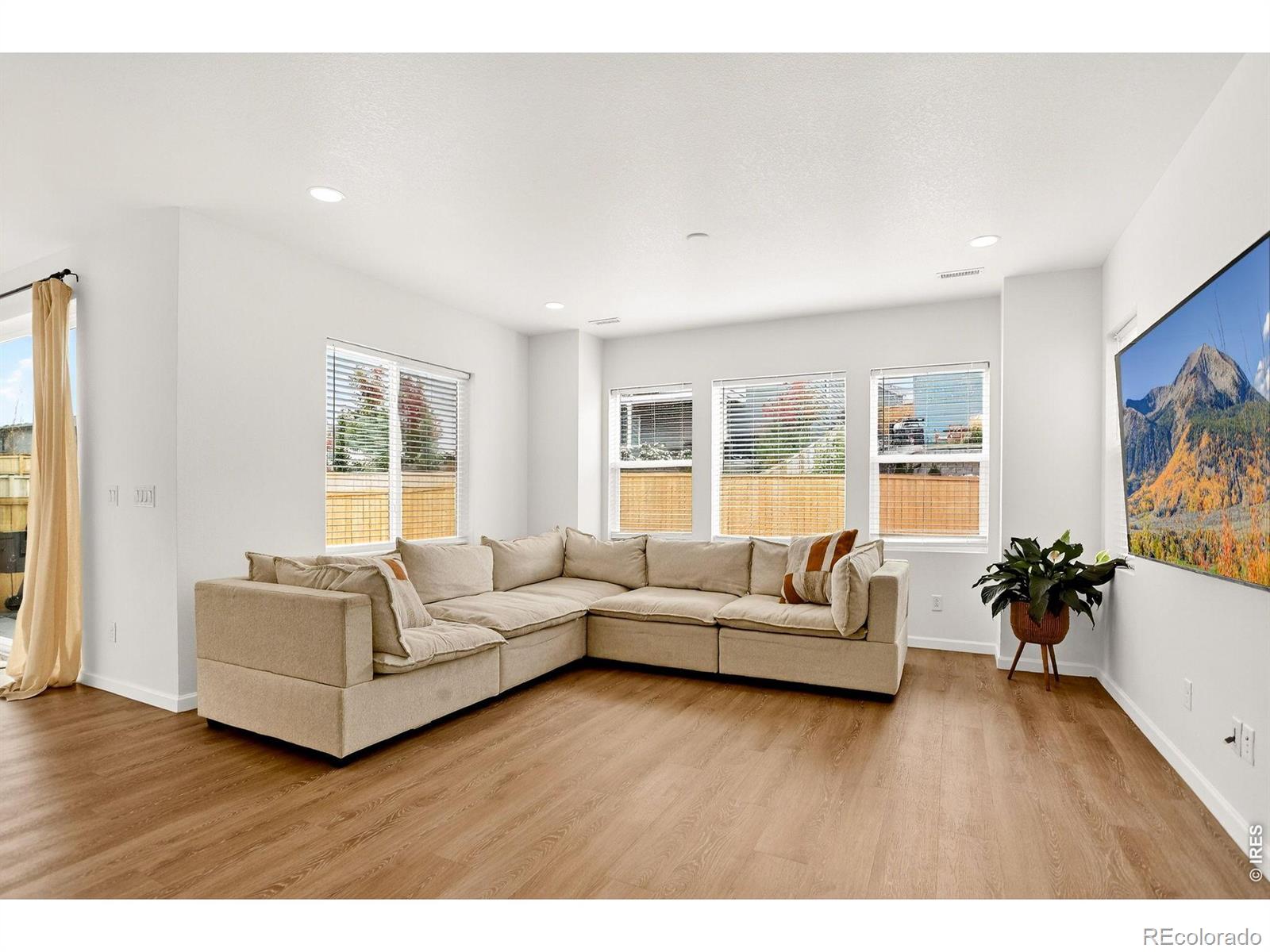 MLS Image #13 for 17396  hop clover avenue,parker, Colorado
