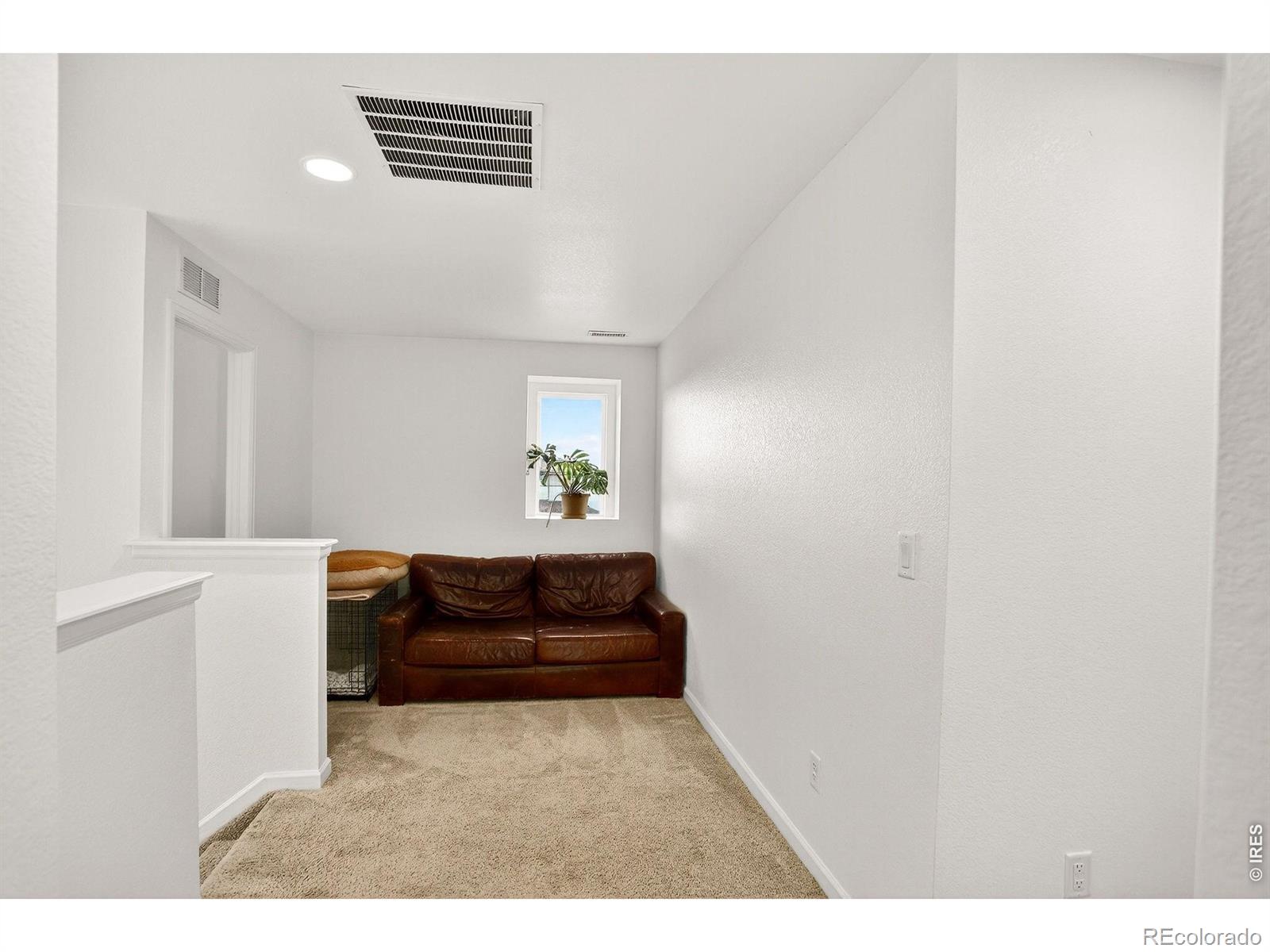 MLS Image #19 for 17396  hop clover avenue,parker, Colorado