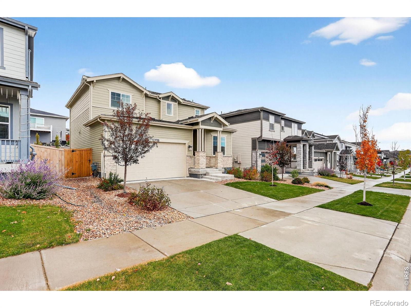 MLS Image #2 for 17396  hop clover avenue,parker, Colorado