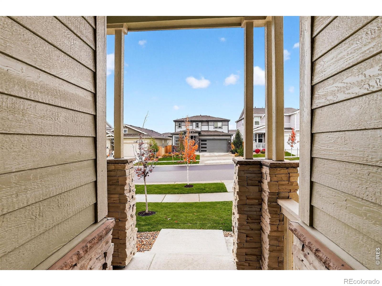 MLS Image #3 for 17396  hop clover avenue,parker, Colorado