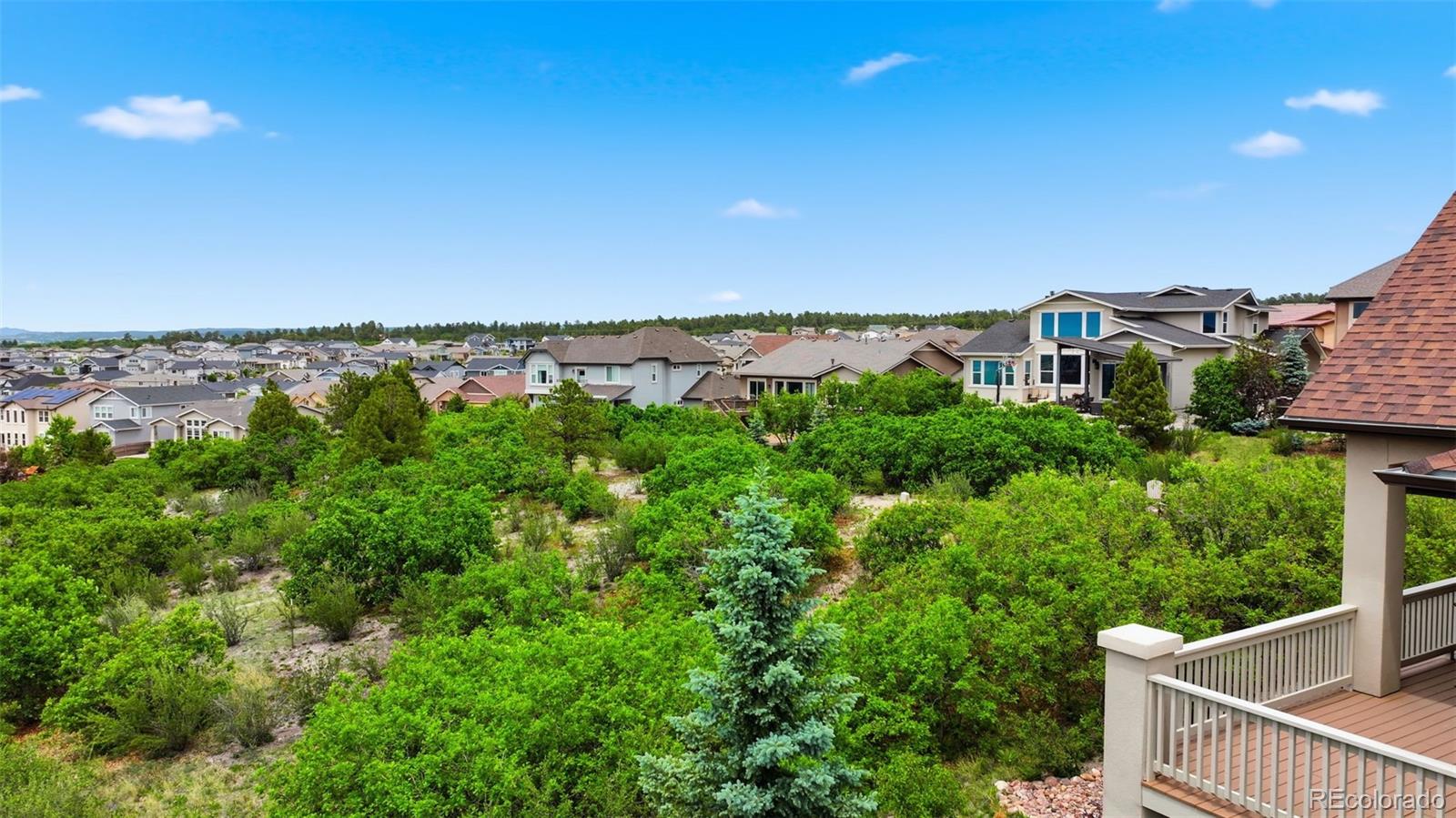 MLS Image #5 for 10042  coyote song terrace,colorado springs, Colorado