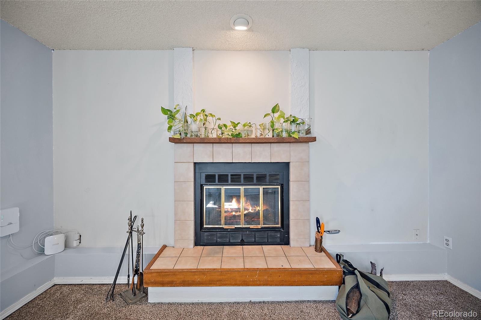 MLS Image #13 for 1795  leoti drive,colorado springs, Colorado