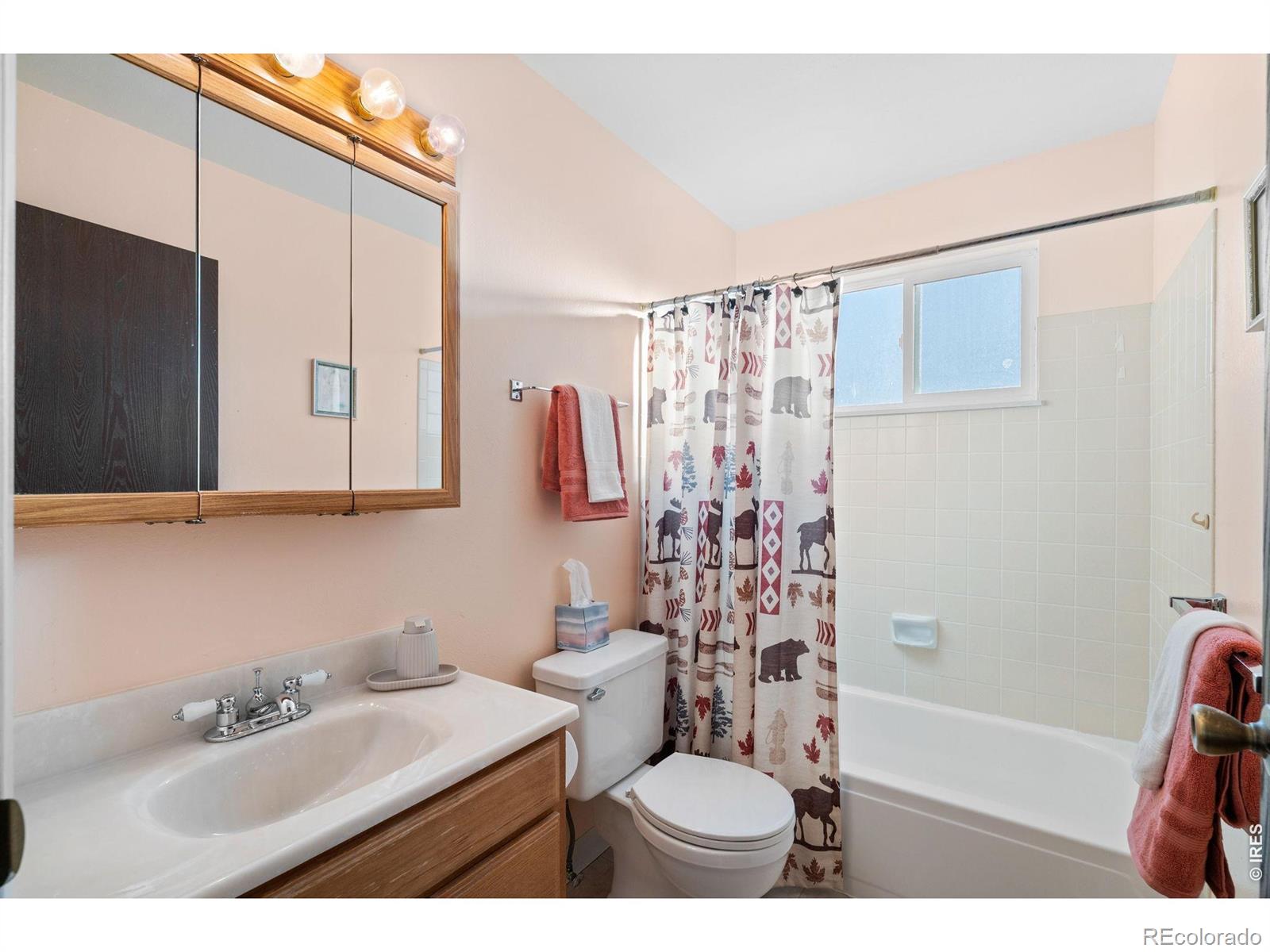 MLS Image #11 for 10685  ross court,westminster, Colorado