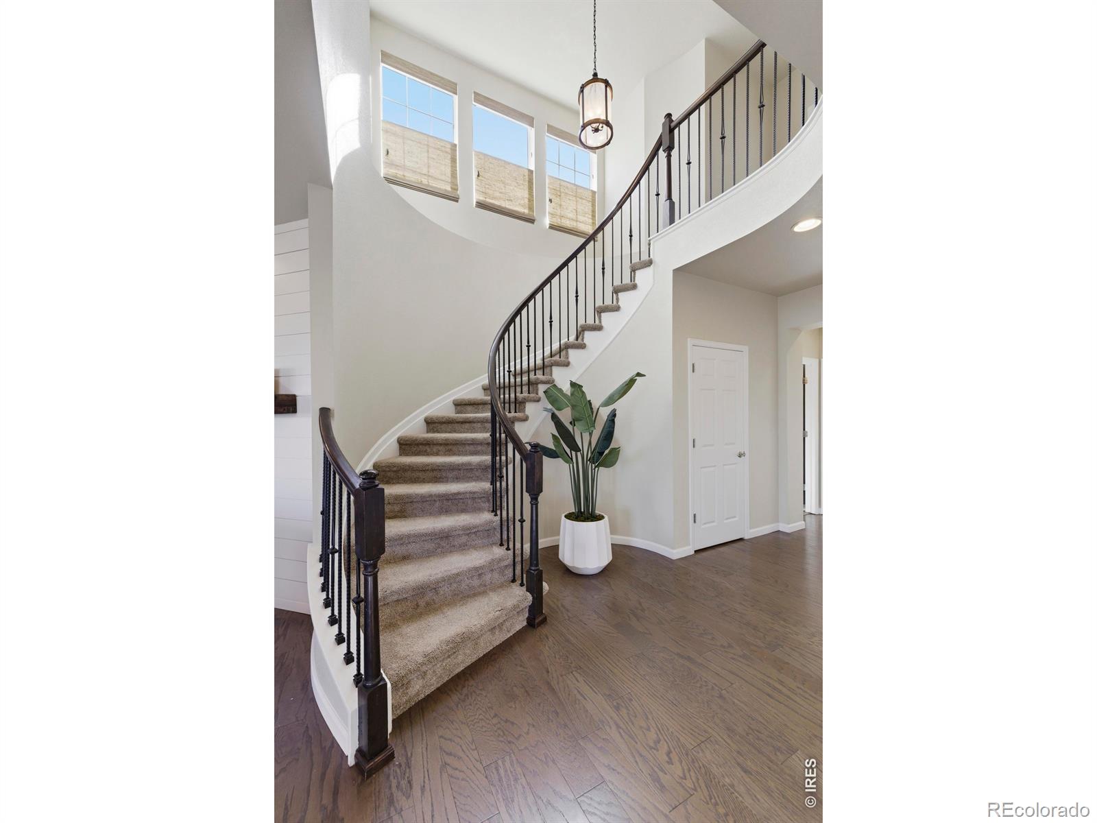 MLS Image #19 for 2356  lodgepole creek drive,fort collins, Colorado