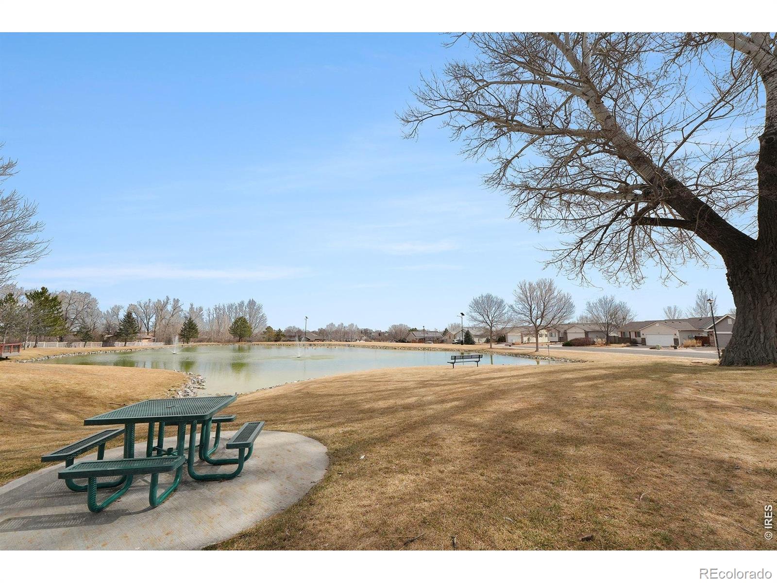 MLS Image #28 for 205  windflower way,severance, Colorado
