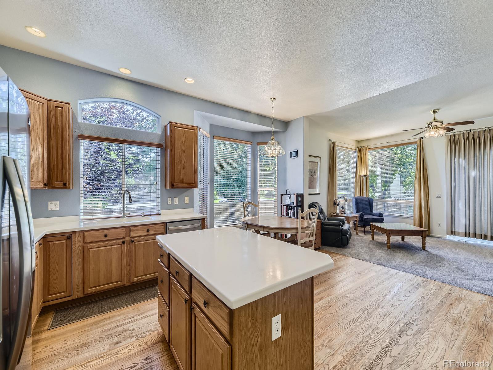 MLS Image #11 for 17284 e hawksbead drive,parker, Colorado