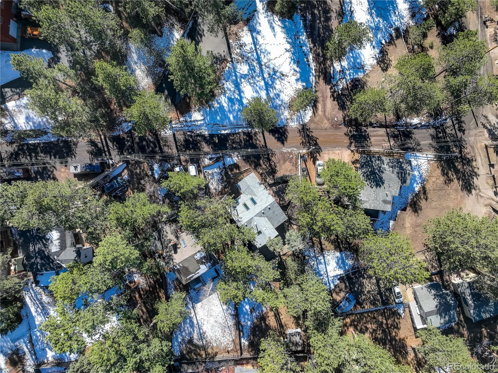 MLS Image #4 for 4784 s pine road,evergreen, Colorado