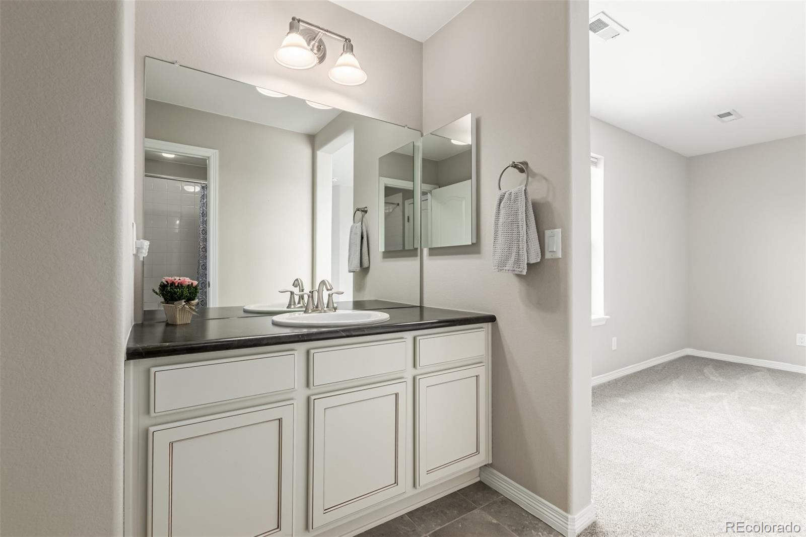 MLS Image #20 for 2756  whitewing way,castle rock, Colorado