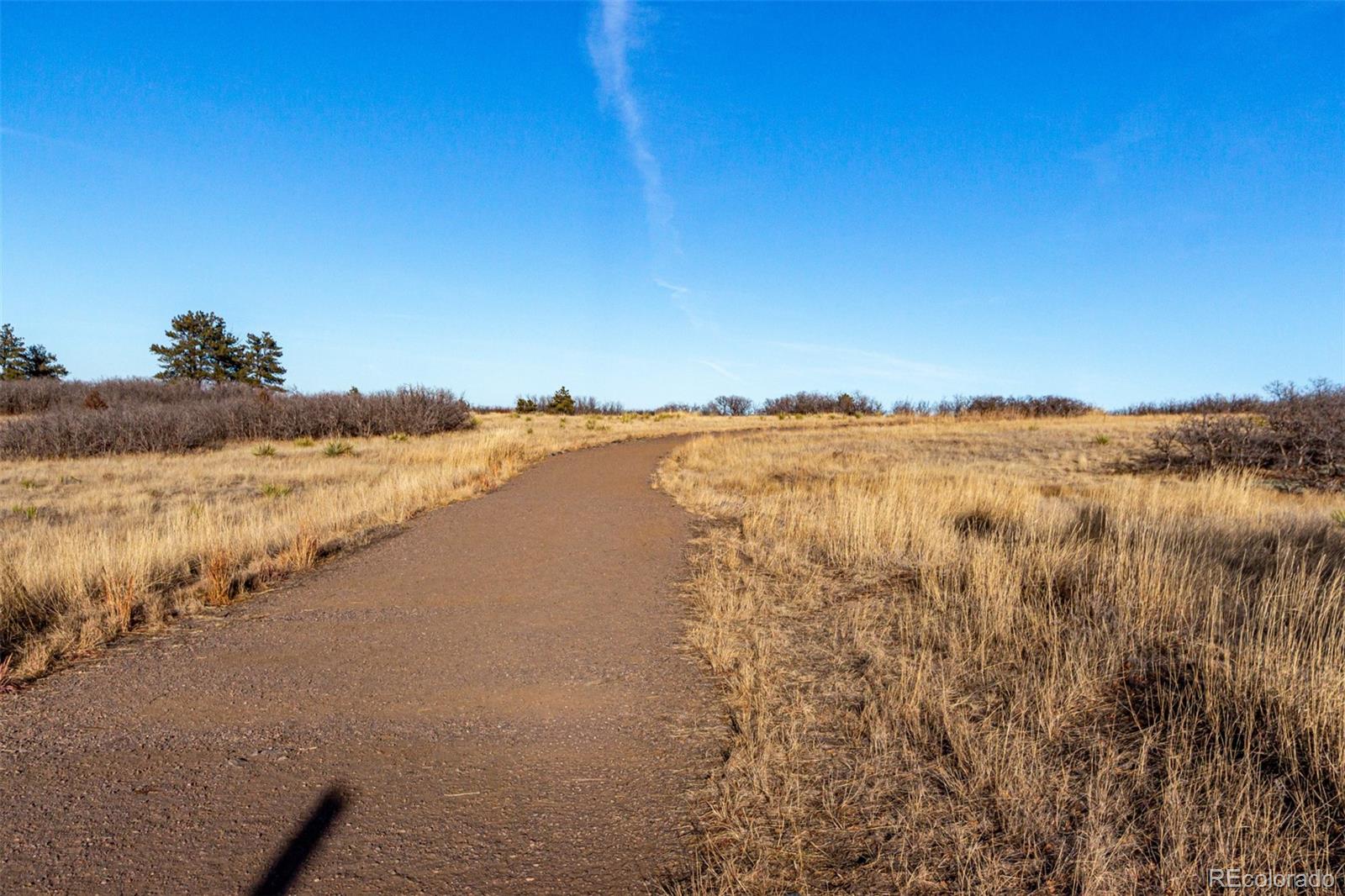 MLS Image #42 for 2756  whitewing way,castle rock, Colorado