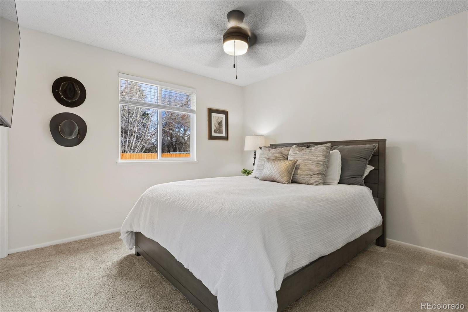 MLS Image #14 for 7049  xenon court,arvada, Colorado