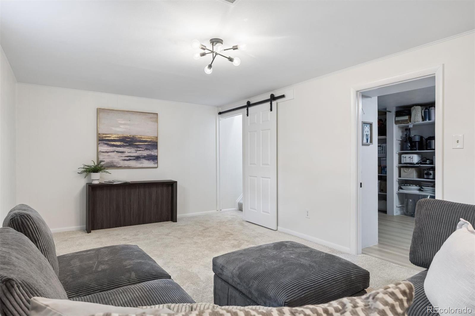 MLS Image #21 for 7049  xenon court,arvada, Colorado
