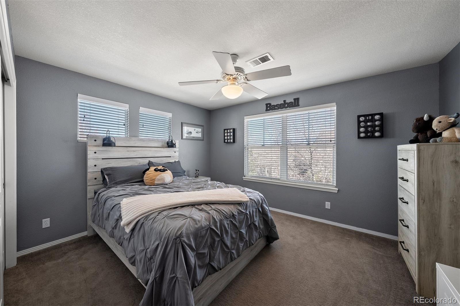 MLS Image #18 for 3867  broadview place,castle rock, Colorado