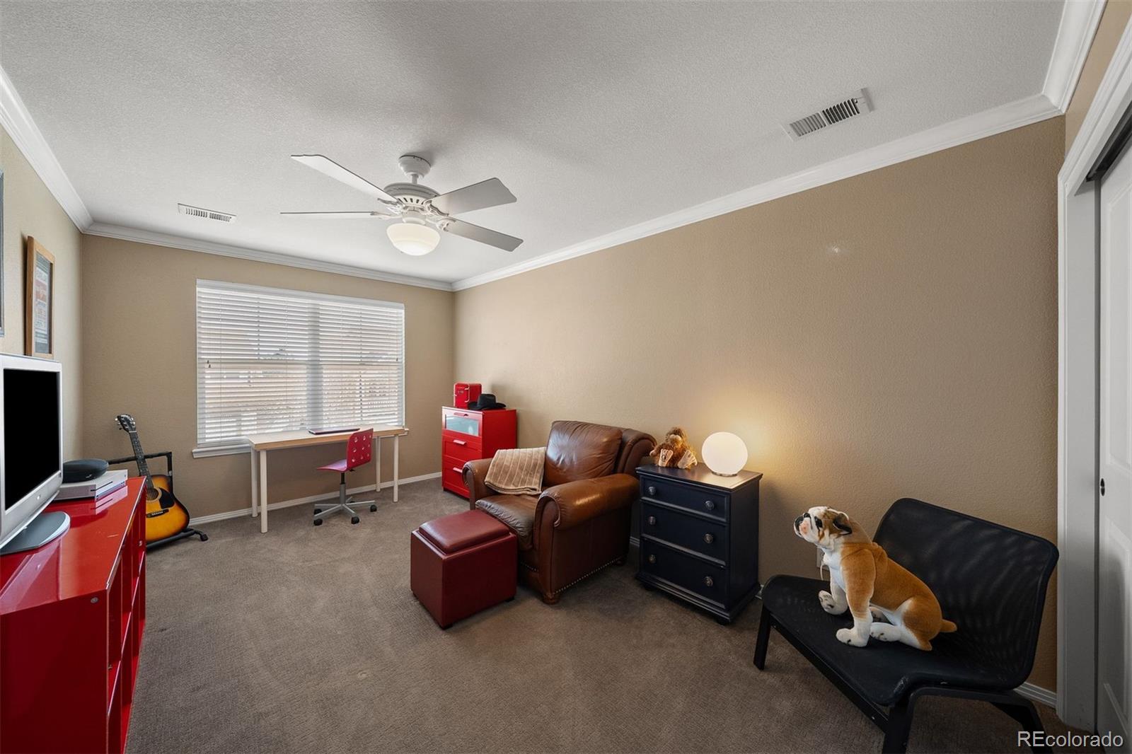 MLS Image #19 for 3867  broadview place,castle rock, Colorado