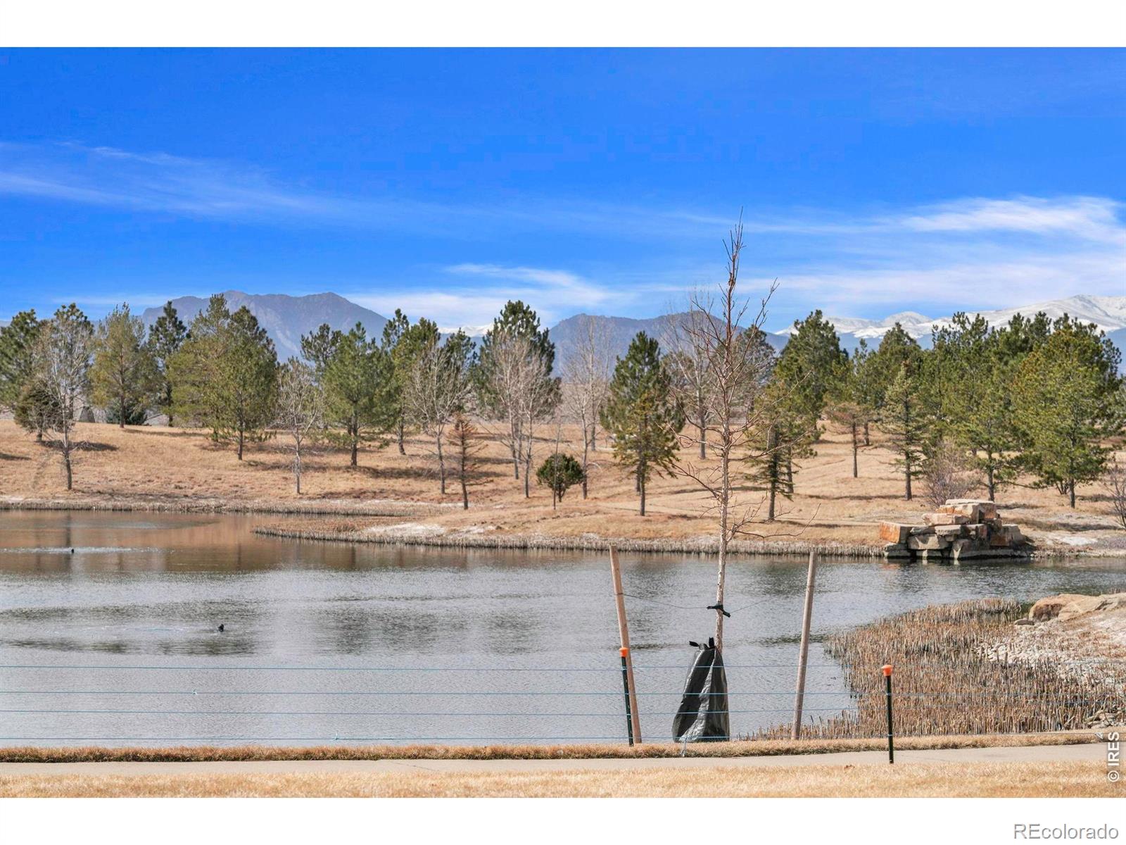 MLS Image #33 for 16496  chesapeake drive,broomfield, Colorado