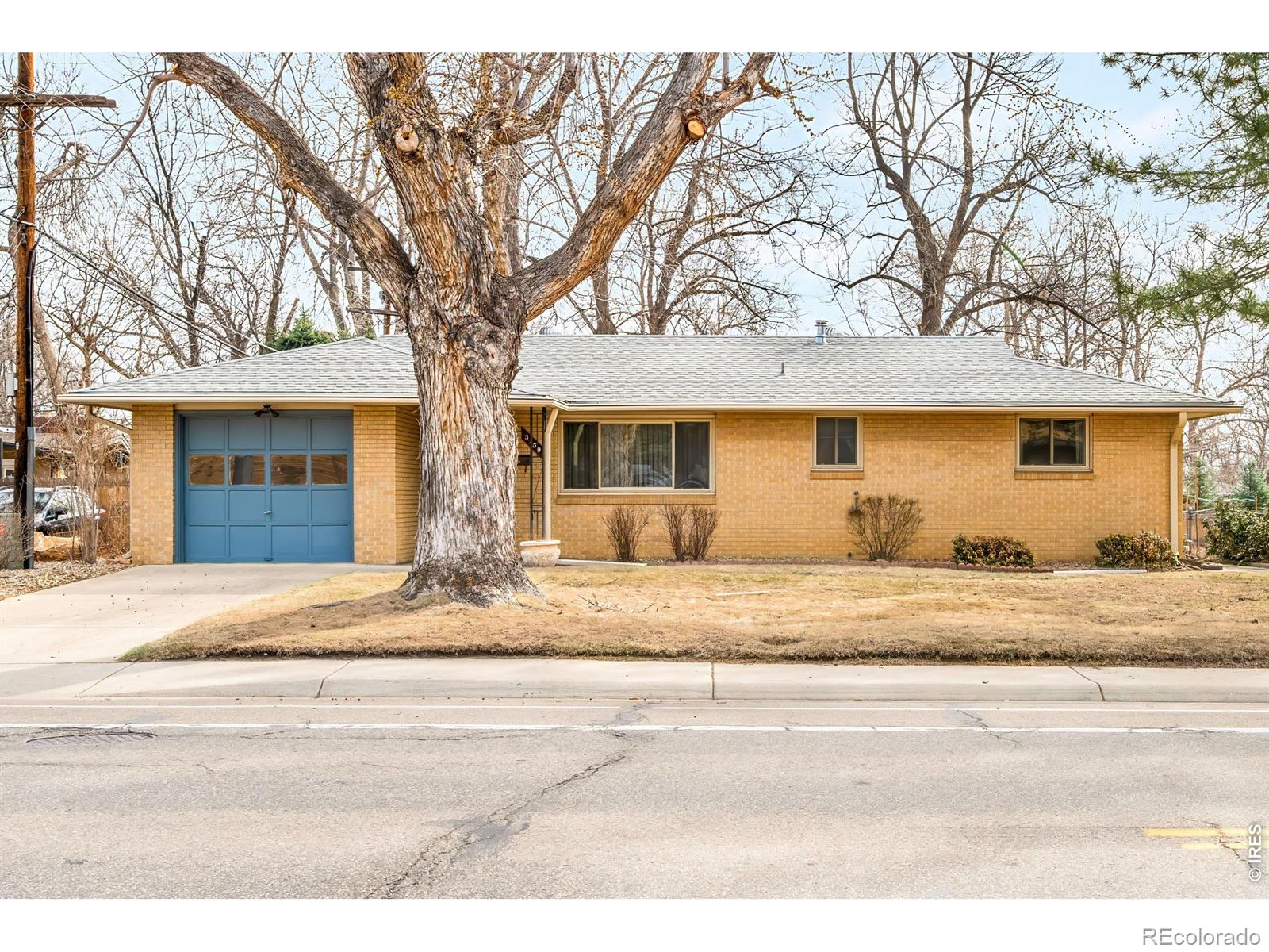 MLS Image #1 for 3150  19th street,boulder, Colorado
