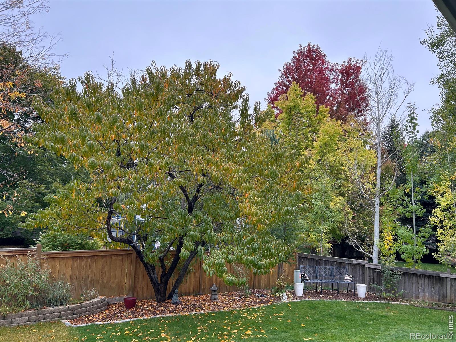 MLS Image #42 for 612  parliament court,fort collins, Colorado