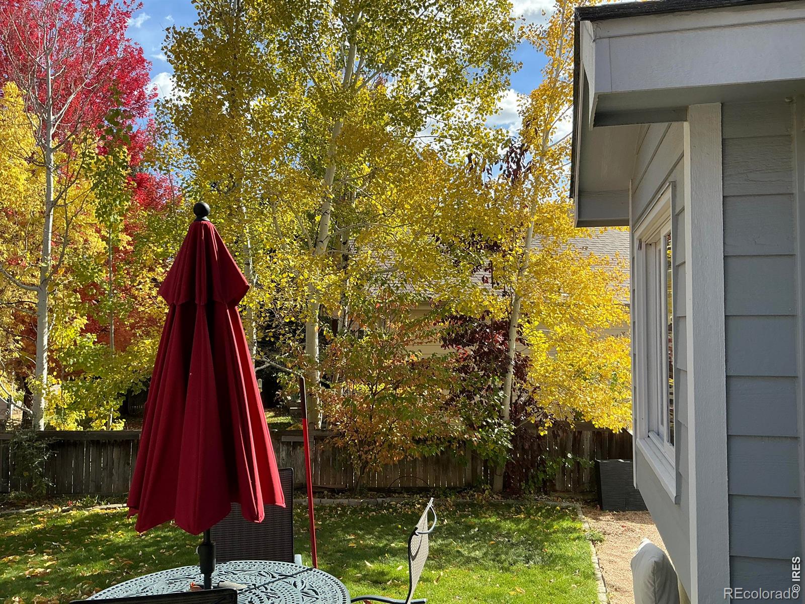 MLS Image #43 for 612  parliament court,fort collins, Colorado