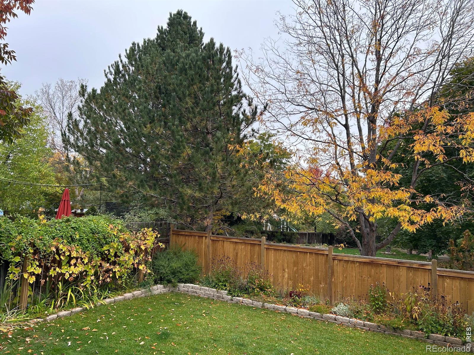MLS Image #44 for 612  parliament court,fort collins, Colorado