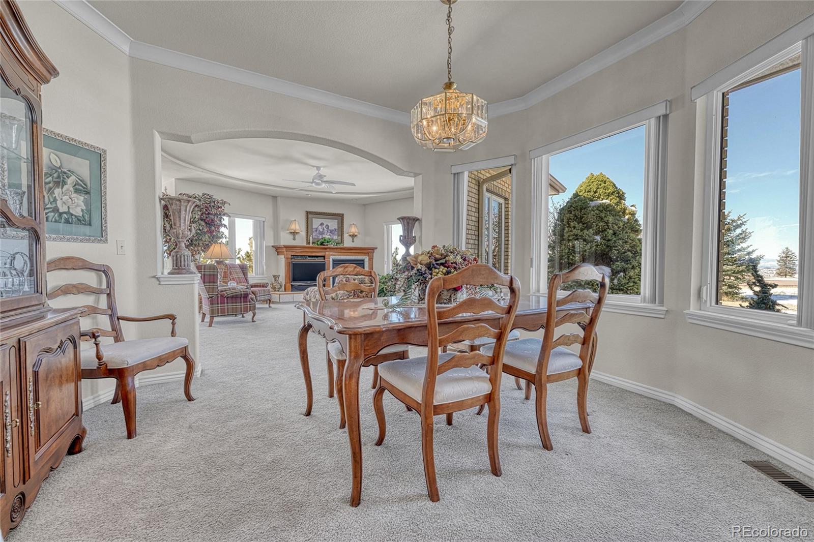 MLS Image #13 for 11346 n canary lane,parker, Colorado