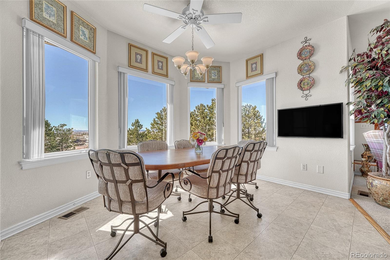 MLS Image #16 for 11346 n canary lane,parker, Colorado