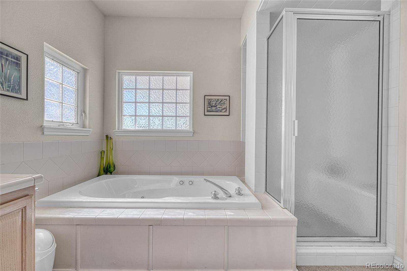 MLS Image #23 for 11346 n canary lane,parker, Colorado