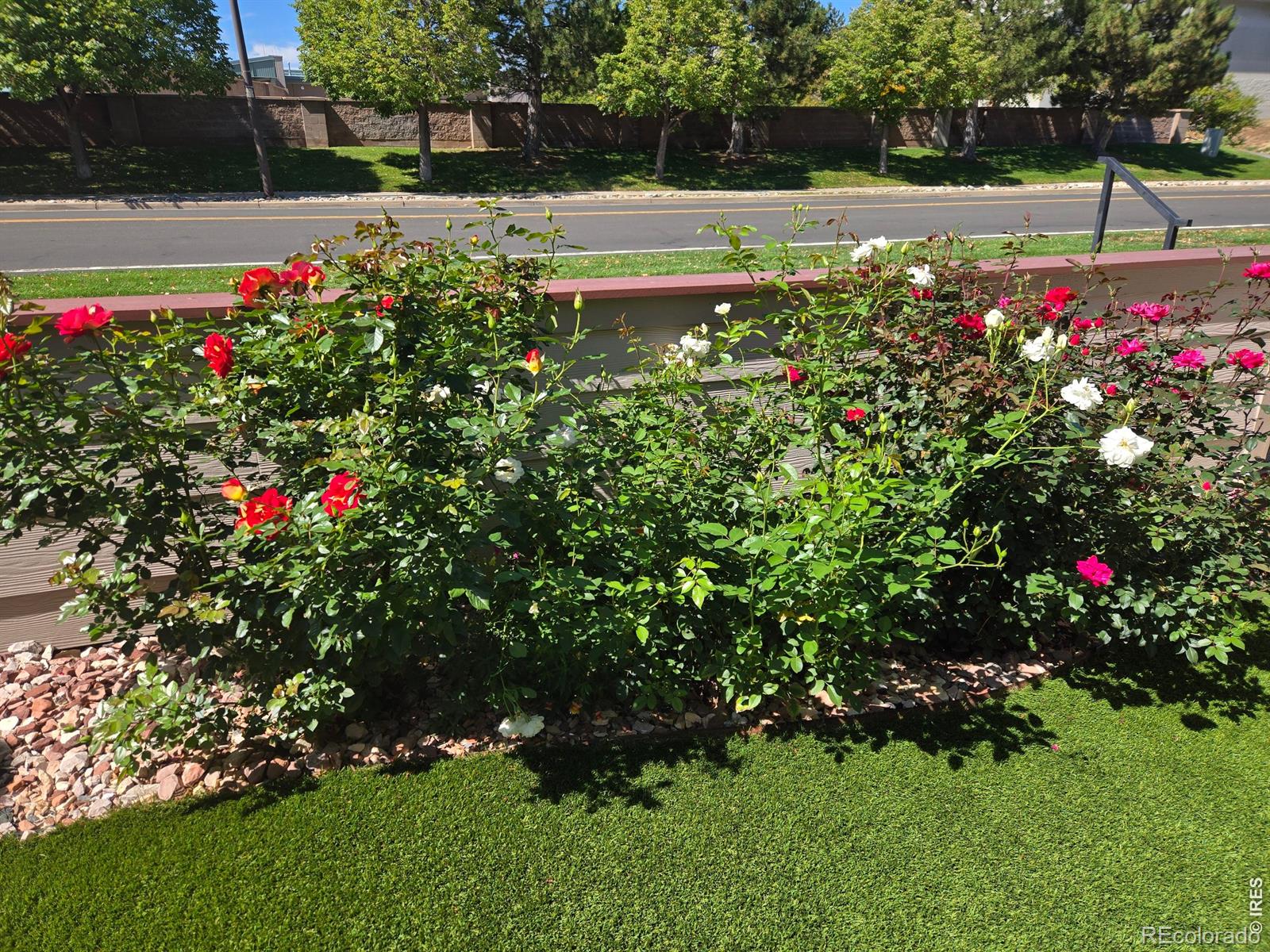 MLS Image #2 for 615  ridgeview drive,louisville, Colorado
